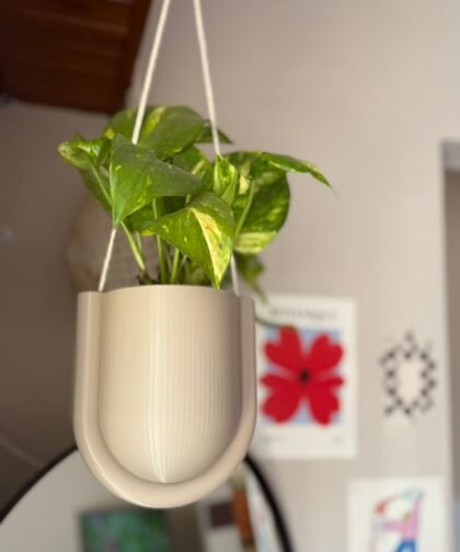 maceta colgante